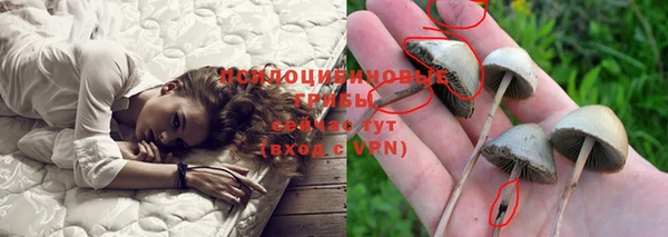 прущая мука Аркадак