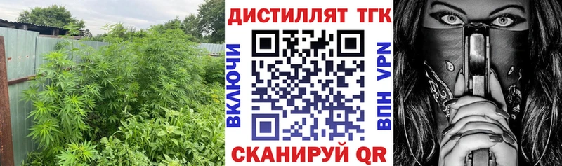ТГК концентрат  Гвардейск 