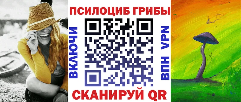 как найти наркотики  Гвардейск  ссылка на мегу сайт  Галлюциногенные грибы Cubensis 